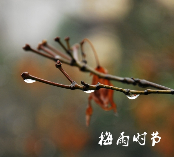 梅雨季节理家有方 家居装修要做好防潮