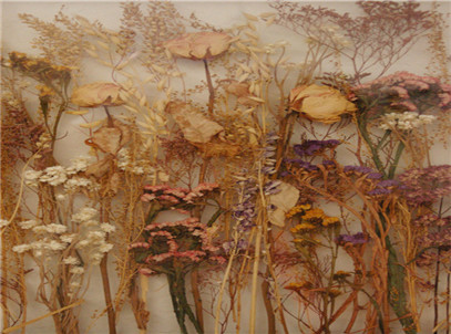 刚经过家装公司装修完后的卫生间去除异味技巧